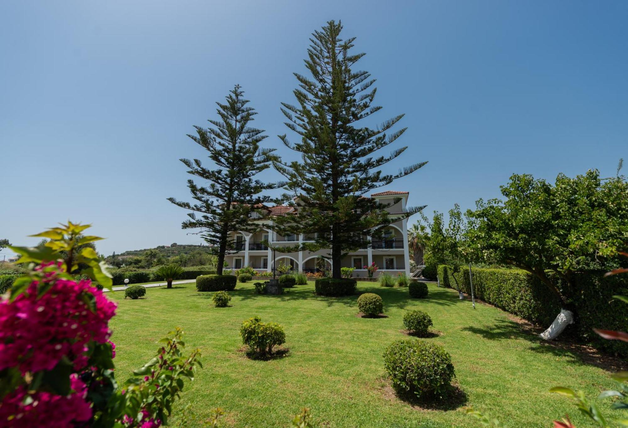 Sofia - Yiota &