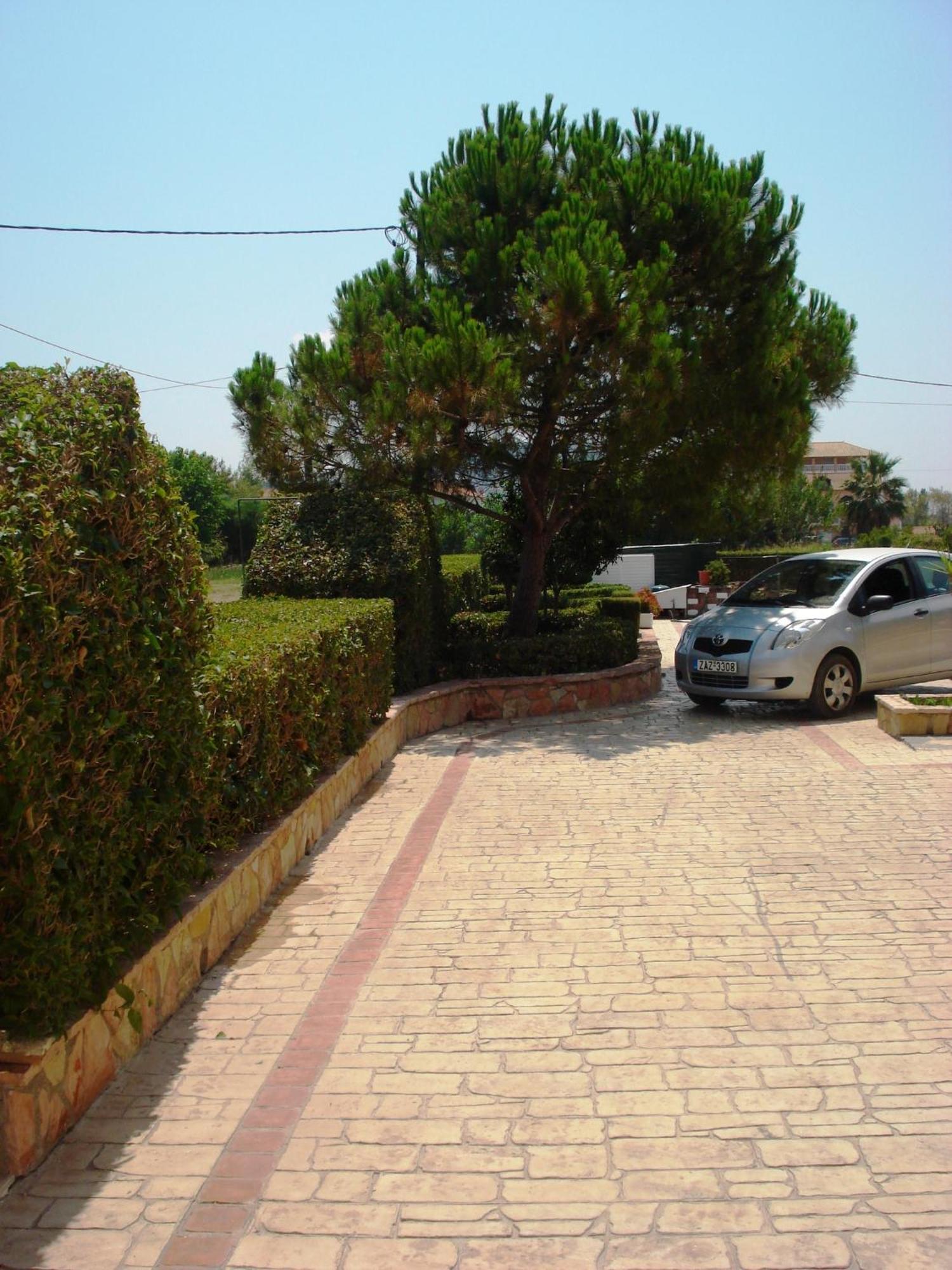 Apartament Sofia - Yiota & Tsilivi (Zakynthos)
